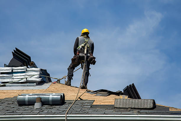 Professional Metal Roofing technician working in Jeddo, MI